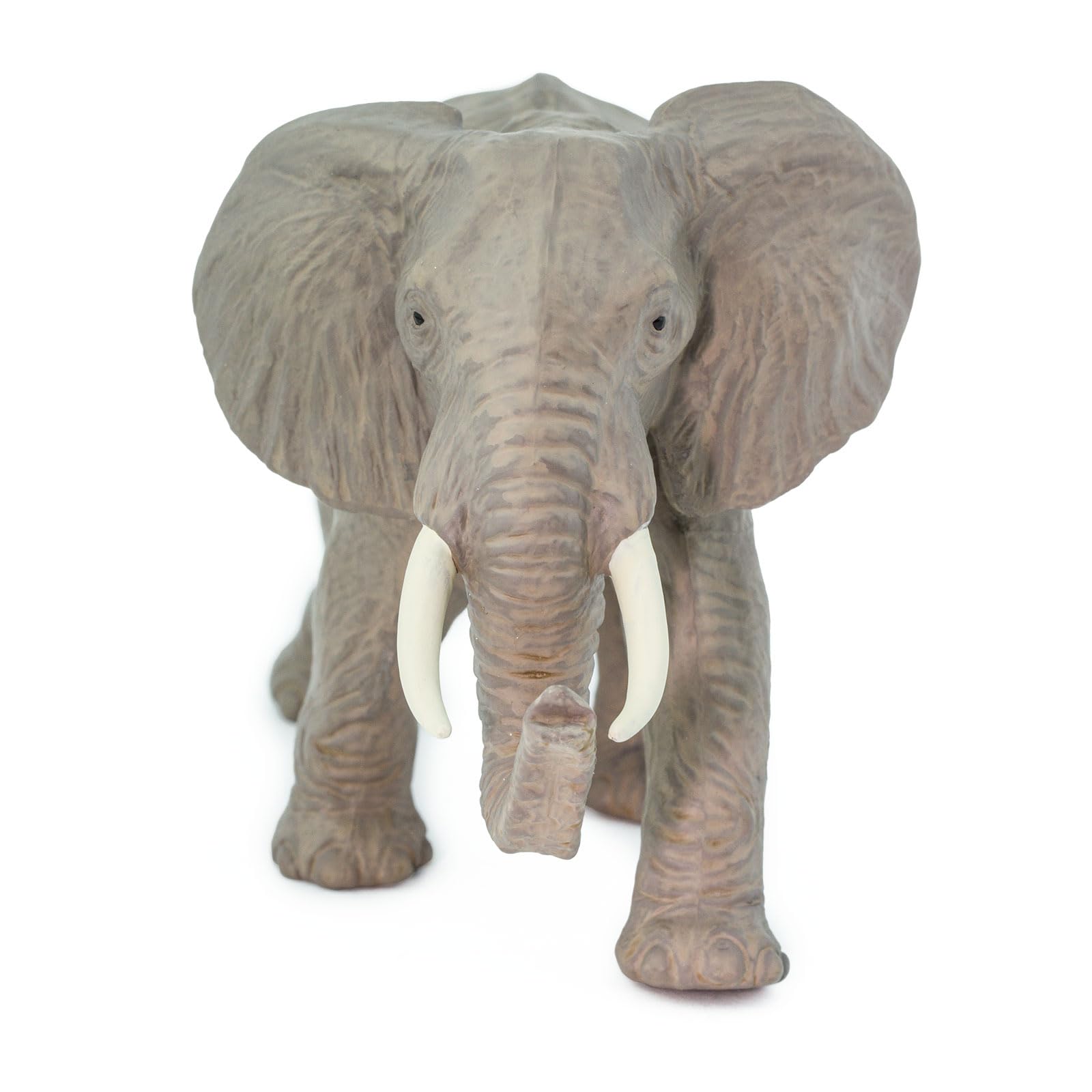 Amazon.com: Safari Ltd. African Elephant Toy Figurine - Detailed